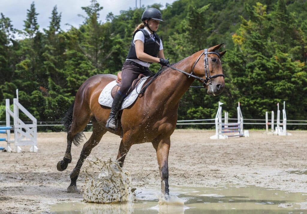 Cavalière sur cheval bai franchissant un obstacle d'eau avec éclaboussures lors d'un concours de saut d'obstacles dans le Tarn, reportage équitation par Frantz Meyers photographe sportif à Castres.